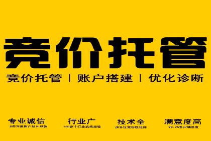 百度竞价代理的投放策略及某行业成功案例